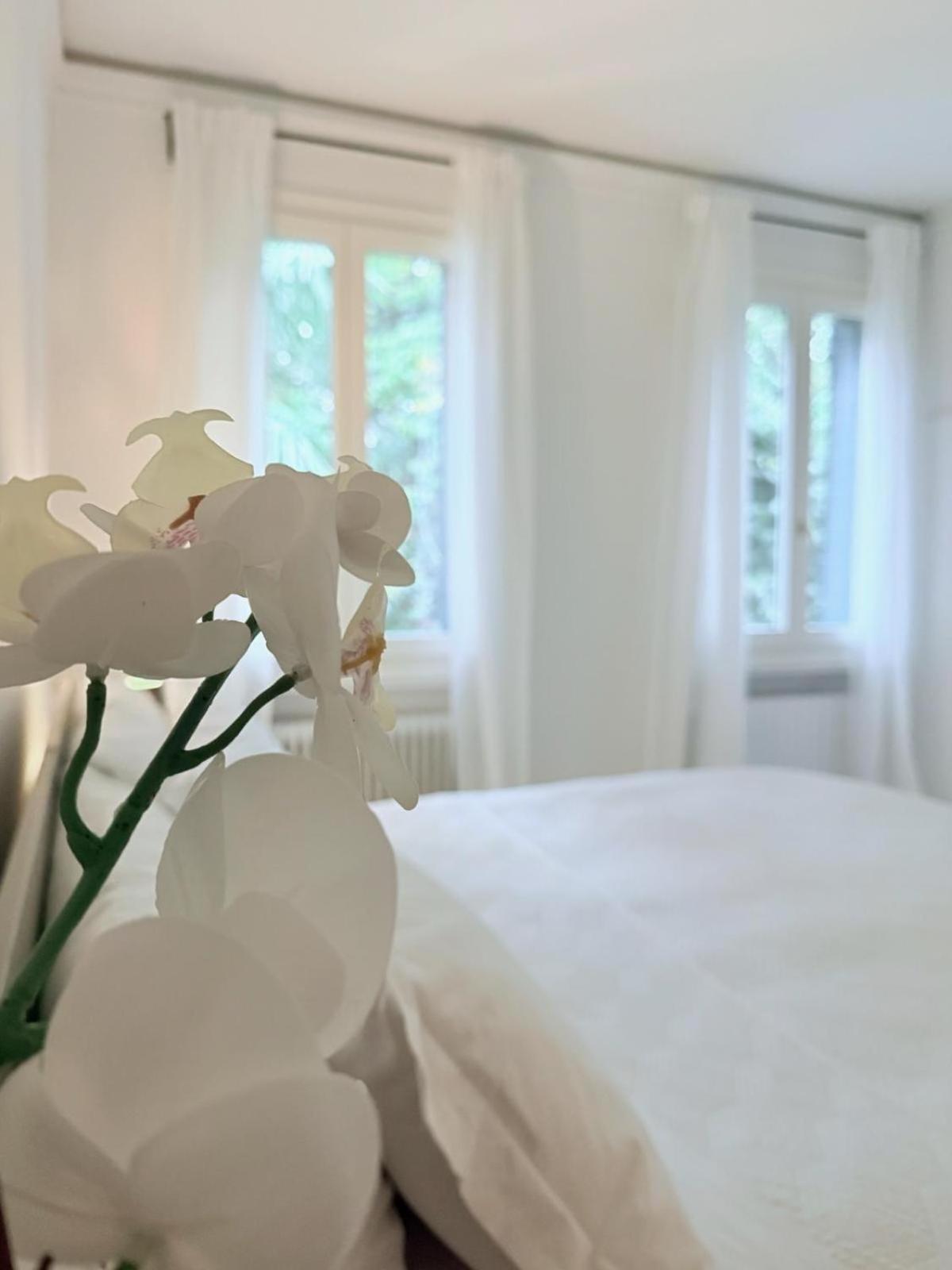 Garden Lodge By Veneto Villa Villa Osti Zewnętrze zdjęcie